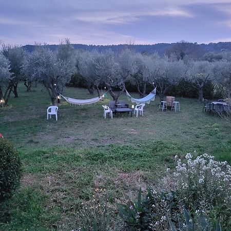 Maison Dans La Provence Verte Cotignac Dış mekan fotoğraf