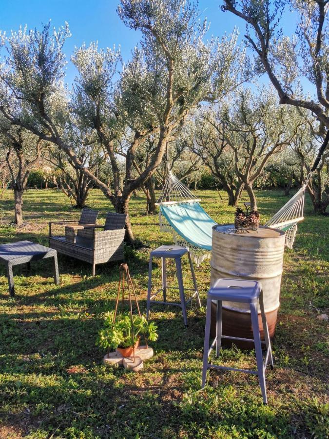 Maison Dans La Provence Verte Cotignac Dış mekan fotoğraf