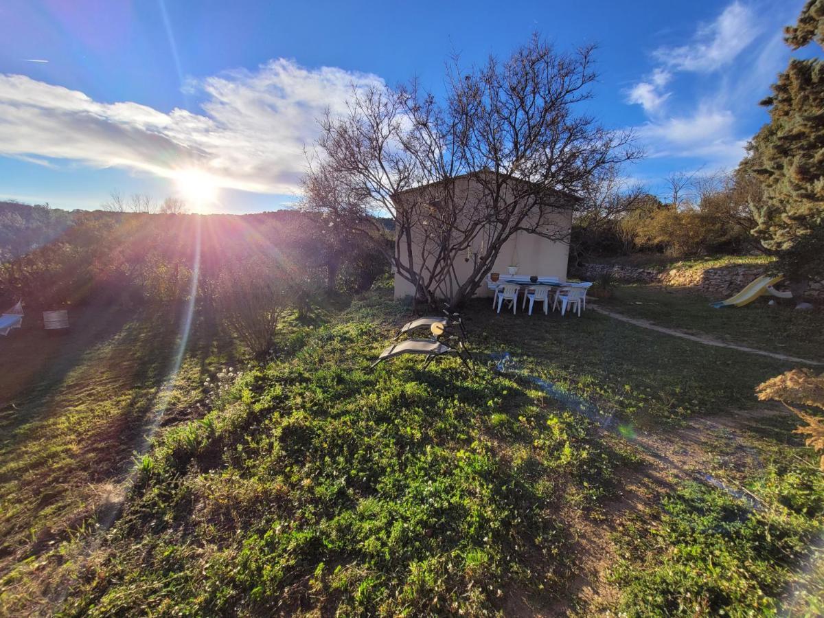 Maison Dans La Provence Verte Cotignac Dış mekan fotoğraf