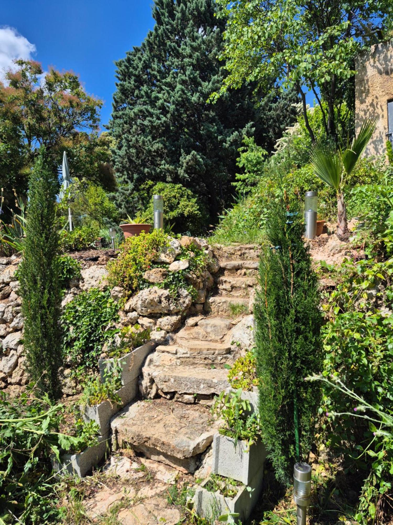 Maison Dans La Provence Verte Cotignac Dış mekan fotoğraf